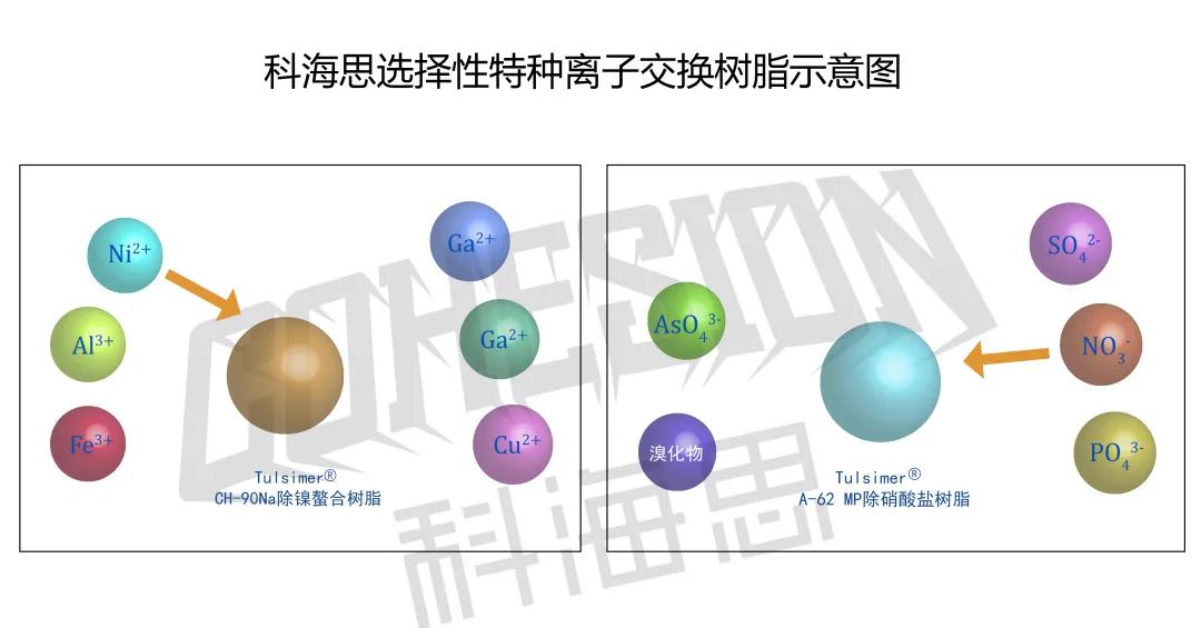 在實際水處理運行中，離子交換樹脂選擇性的影響因素有哪些